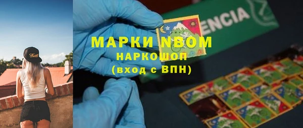 гидропоника Богданович