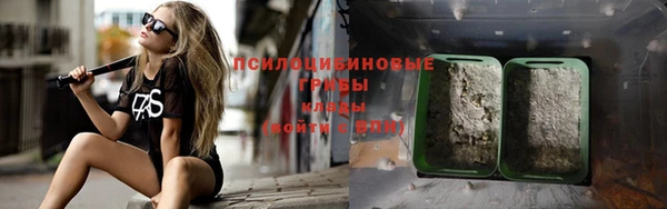 гидропоника Богданович